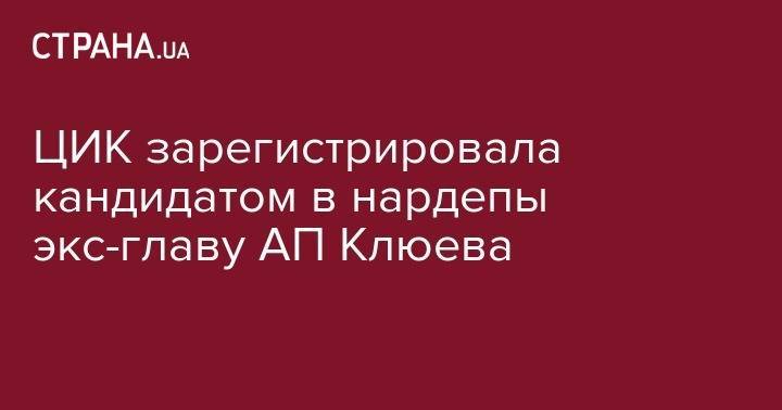 Виктор Янукович - Анатолий Шарий - Андрей Клюев - ЦИК зарегистрировала кандидатом в нардепы экс-главу АП Клюева - strana.ua - Россия - Украина - Киев - обл. Донецкая - Донецк - Литва - Бахмут