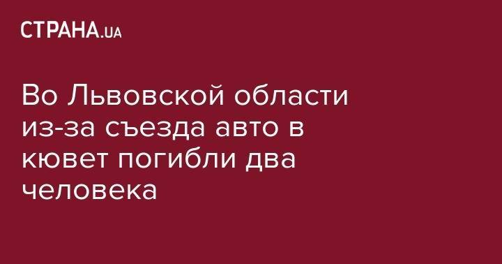 Во Львовской области из-за съезда авто в кювет погибли два человека - strana.ua - Украина - Киев - Львов - Львовская обл.