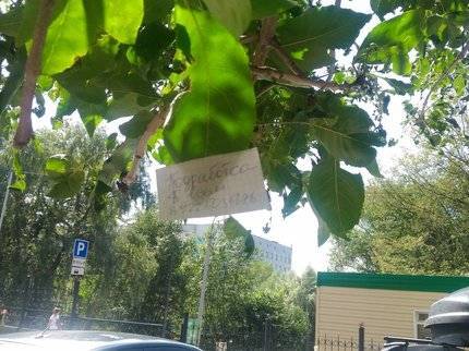 В Уфе находчивые сотрудники фирмы смогли обойти запрет на расклейку объявлений на столбах - ufatime.ru - Уфа