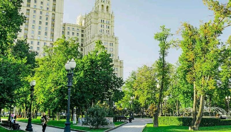 Обрезка и полив: как в Москве ухаживают за деревьями и кустарниками - vm.ru - Москва - Москва