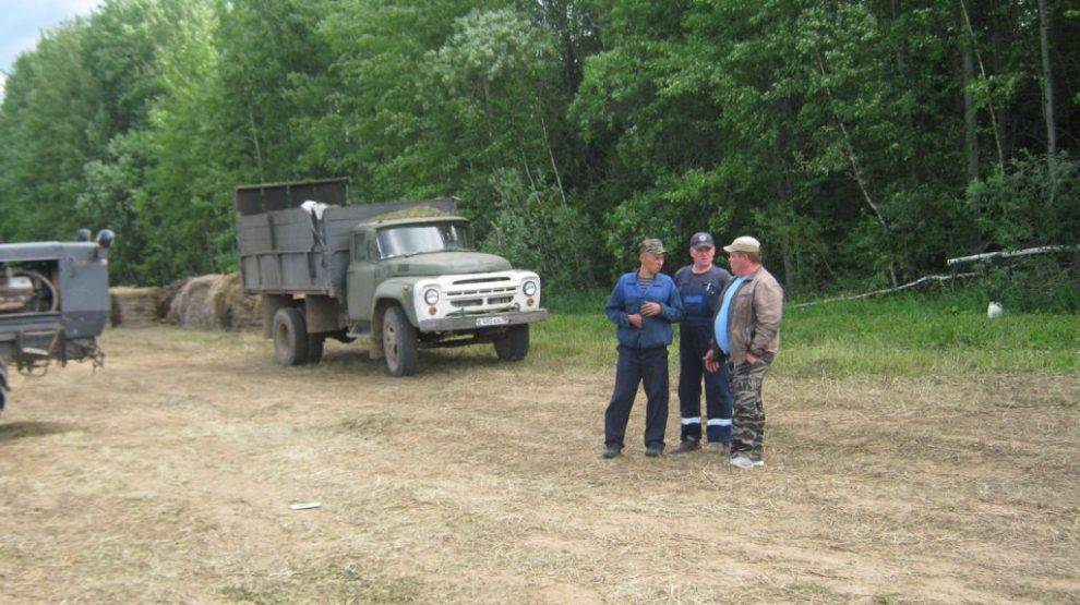 В Глазовском районе сорвался график заготовки кормов&nbsp; - gorodglazov.com
