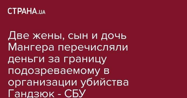 Екатерина Гандзюк - Владислав Мангер - Алексей Левин - Две жены, сын и дочь Мангера перечисляли деньги за границу подозреваемому в организации убийства Гандзюк - СБУ - strana.ua - Украина - Херсон