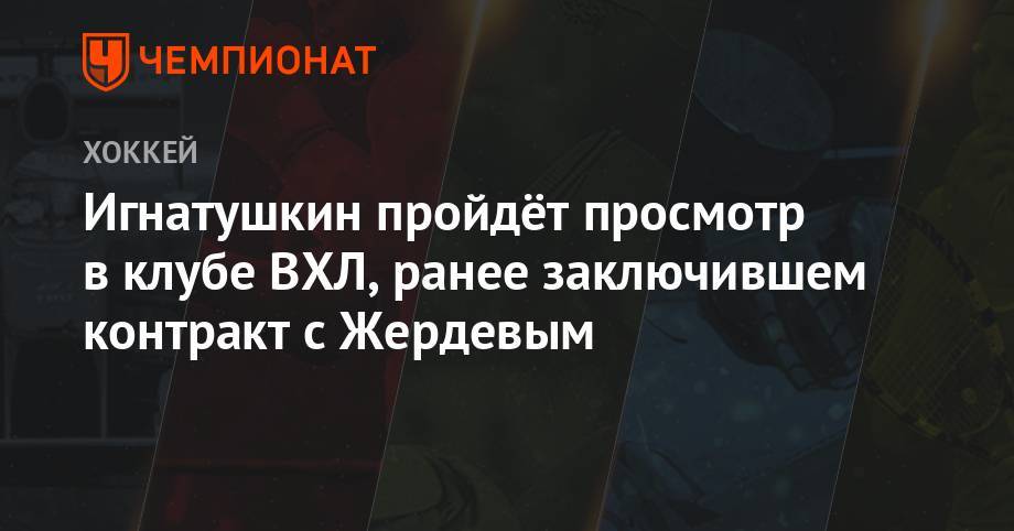 Игнатушкин пройдёт просмотр в клубе ВХЛ, ранее заключившим контракт с Жердевым - championat.com - Россия - Сочи - Рязань - Словакия - Тамбов