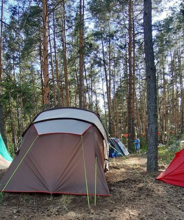 В Ульяновской области построили палаточный городок на два гектара - ulpravda.ru - Россия - Китай - респ. Татарстан - респ. Чувашия - Саратовская обл. - Самара - Ульяновская - респ. Марий Эл - Самарская обл. - Пензенская обл.