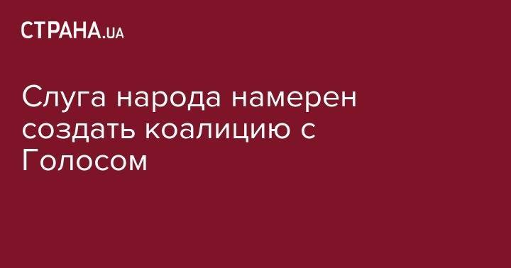 Владимир Зеленский - Святослав Вакарчук - Никита Потураев - Слуга народа намерен создать коалицию с Голосом - strana.ua - США