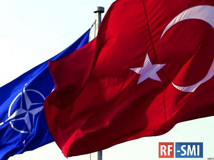 Пентагон прокомментировал возможность исключения Турции из НАТО - rf-smi.ru - Россия - США - Вашингтон - Анкара