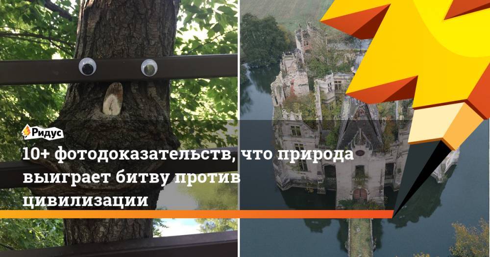 10+ фотодоказательств, что природа выиграет битву против цивилизации. Ридус - ridus.ru - Норвегия - Россия - Китай - Италия - Австралия - Франция - Япония - штат Теннесси - Чехия - Ирландия - Намибия