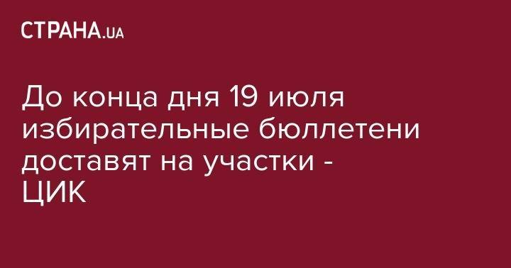 Татьяна Слипачук - Александр Онищенко - До конца дня 19 июля избирательные бюллетени доставят на участки - ЦИК - strana.ua - Украина - Киев
