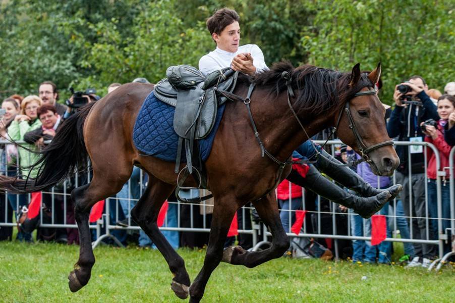 Полина Гагарина - Москва онлайн покажет джигитовку и итальянских флагоносцев на фестивале "Иваново поле" - m24.ru - Москва - Италия - Московская обл. - Иваново