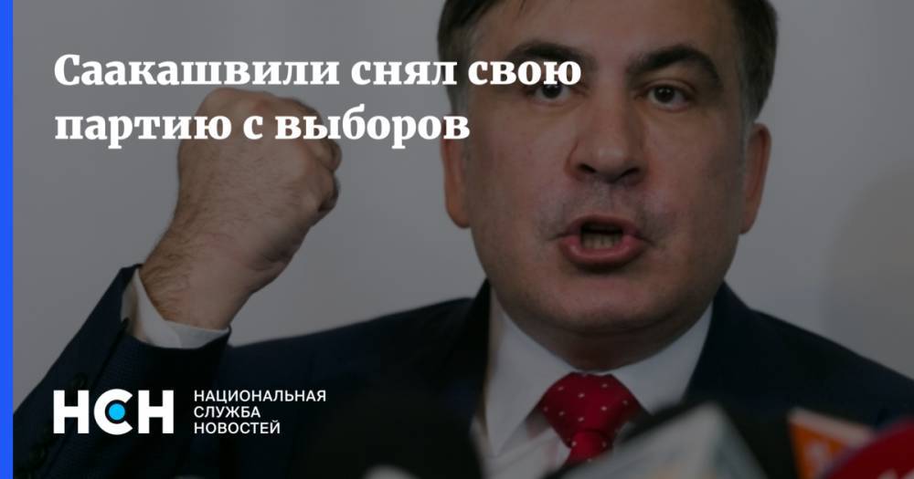 Владимир Зеленский - Михаил Саакашвили - Саакашвили снял свою партию с выборов - nsn.fm - Украина