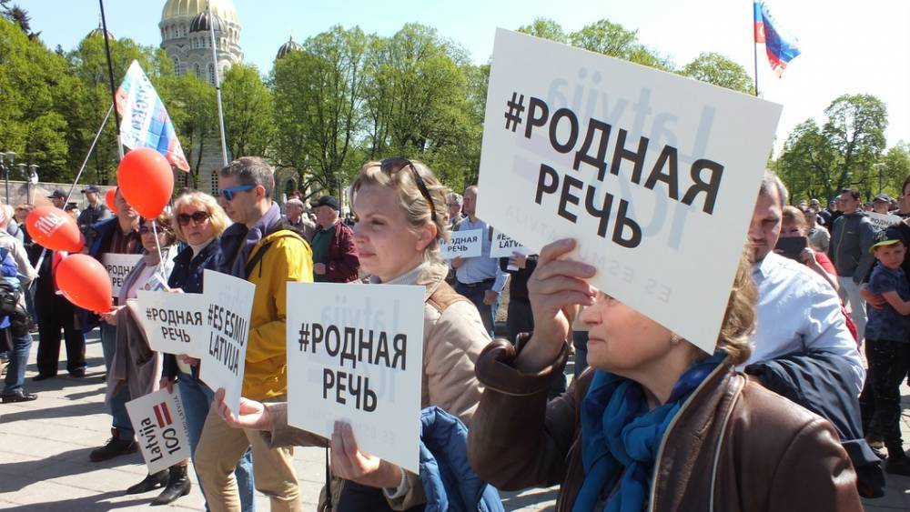 Хрюшка с триколором: Как украинская пиццерия продолжила антироссийскую акцию грузин - tsargrad.tv - Россия - Украина - New York - Тбилиси - Черновцы