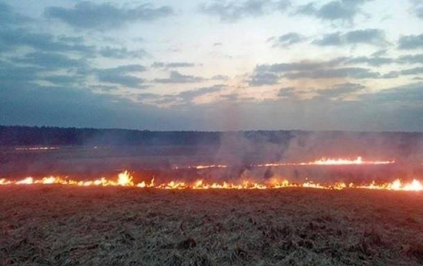 В Киевской области пожар уничтожил 10 гектаров пшеницы - ru.slovoidilo.ua - Киевская обл. - район Бориспольский