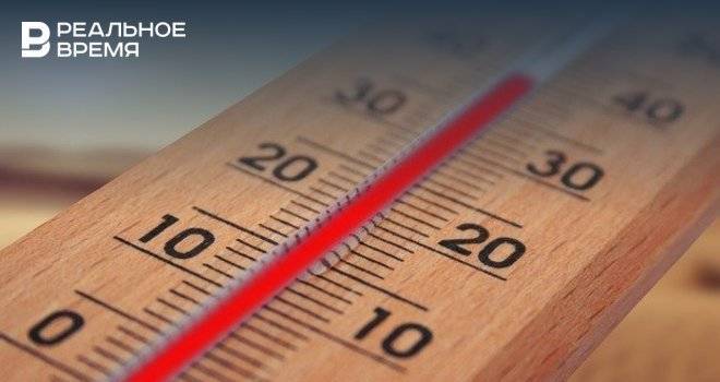 МЧС предупредило жителей Башкирии о жаре до 38°С - realnoevremya.ru - Башкирия