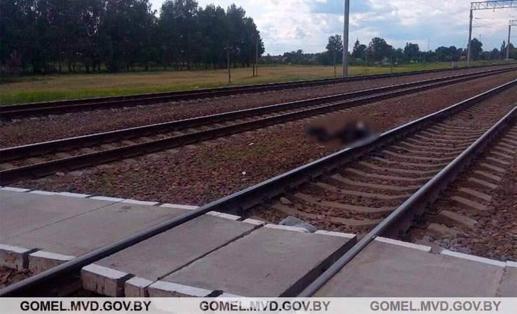 В Жлобинском районе поезд насмерть сбил мужчину - gomel.today - район Жлобинский - Гомель - Осиповичи
