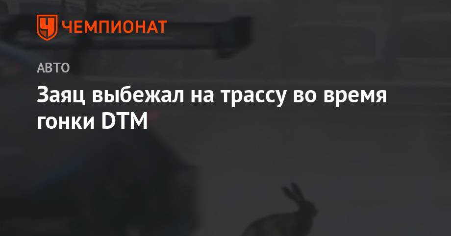 Ромен Грожан - Николас Латифи - Заяц выбежал на трассу во время гонки DTM - championat.com - Канада