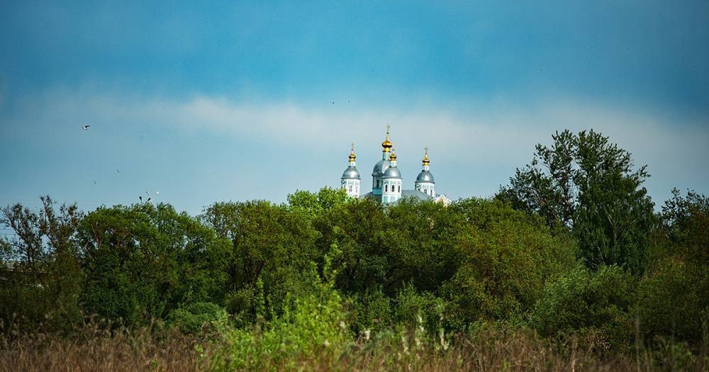 Столбик термометра ползет вверх - readovka.ru - Смоленская обл.