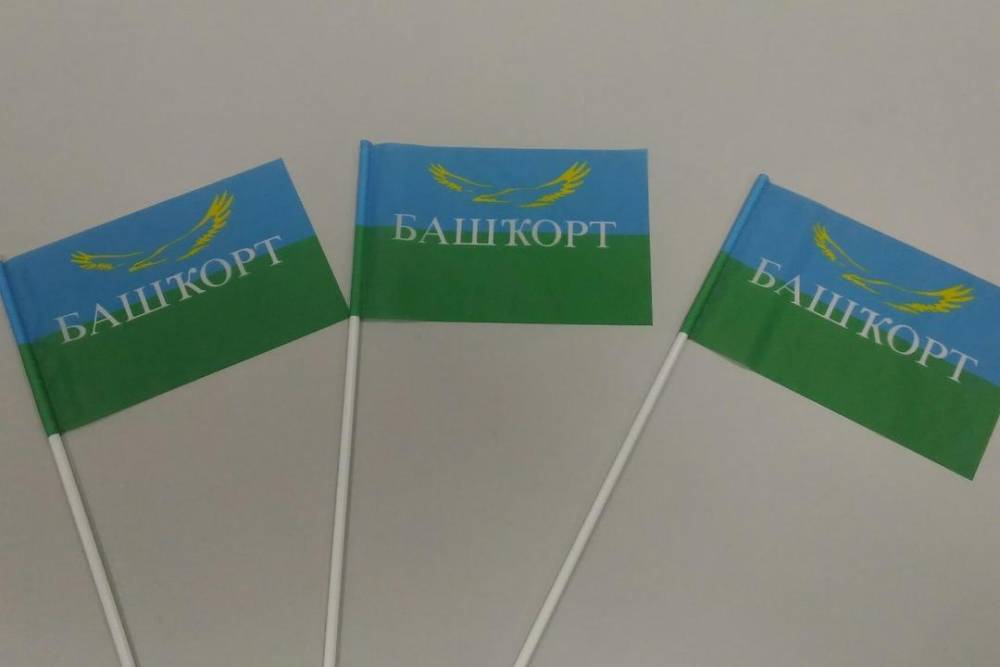 «Башкорт» признал себя радикальной организацией? // ОБЩЕСТВО | новости башинформ.рф - bashinform.ru - Уфа
