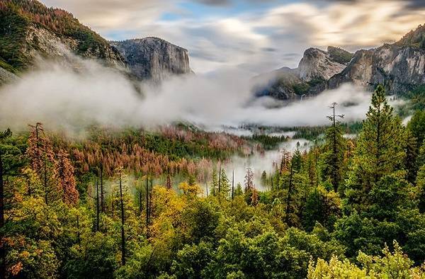 Вода, а не температура, ограничивает глобальный рост лесов - ecosever.ru - Бразилия - Антарктида