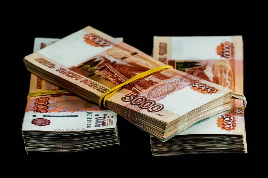 Ирина Волк - Похитителей 2,5 млн рублей задержали в Москве - m24.ru - Москва - Московская обл.