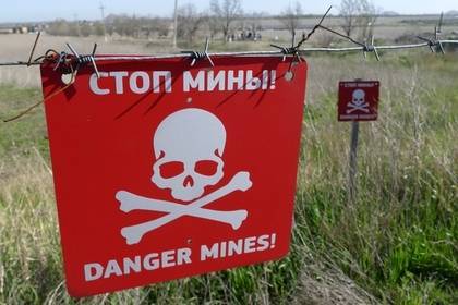 Украинские военные подорвались на мине после начала перемирия - lenta.ru - Киев - обл. Донецкая - Донецк - ЛНР - Луганск - Первомайск