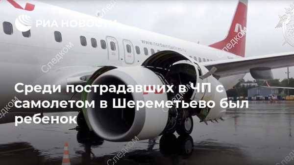 Среди пострадавших в ЧП с самолетом в Шереметьево был ребенок - vestirossii.com - Москва - Московская обл. - Ереван