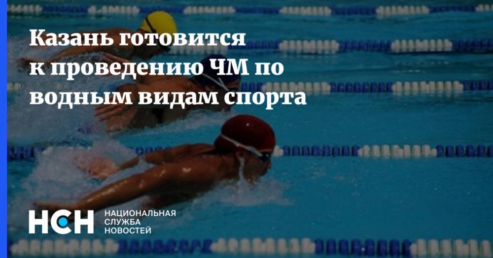 Владимир Леонов - Казань готовится к проведению ЧМ по водным видам спорта - nsn.fm - Россия - респ. Татарстан - Казань - Будапешт - Катар