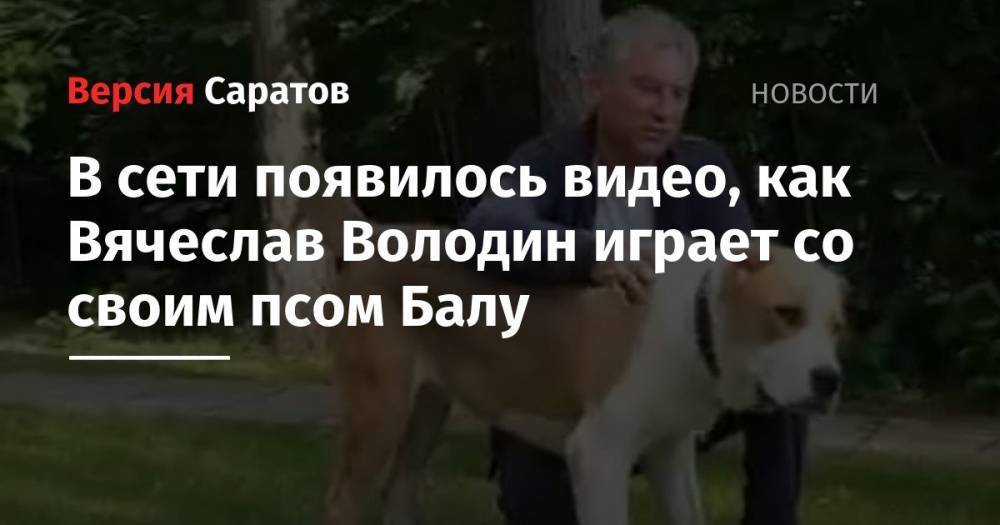 Вячеслав Володин - В сети появилось видео, как Вячеслав Володин играет со своим псом Балу - nversia.ru - Саратов