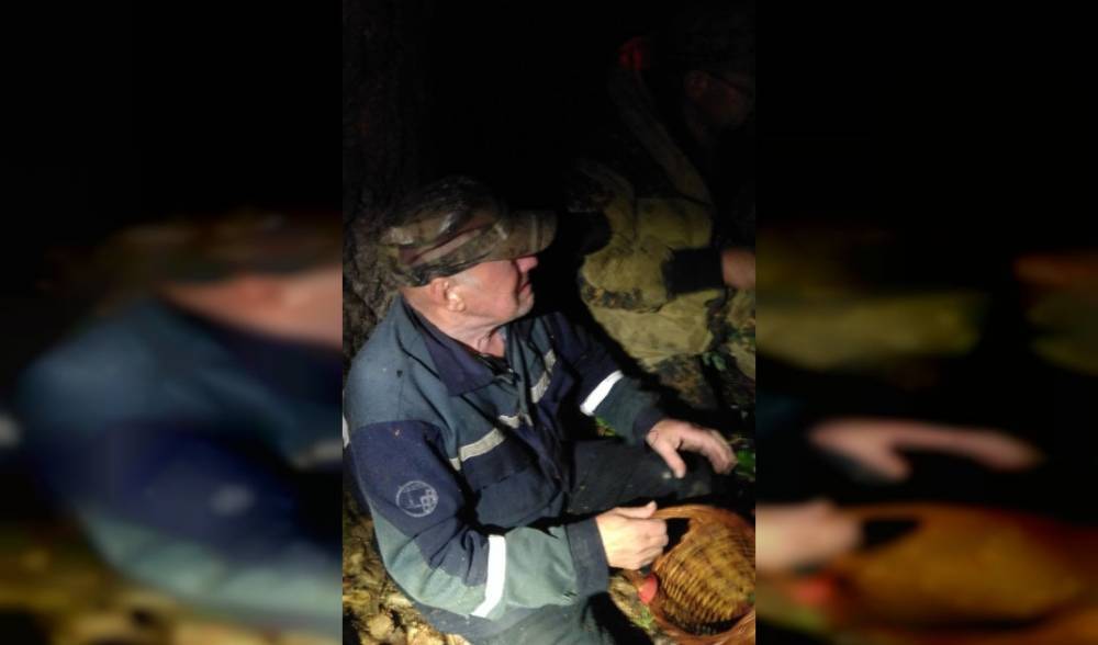 Спасатели рассказали и показали, как проходили поиски смоленского пенсионера в лесу - readovka.ru - Смоленская обл.