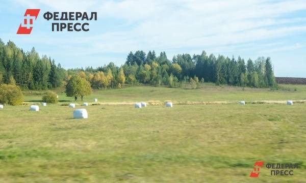 Елен Майоров - Предприятие Ткачева продало активы в Ленинградской области | Краснодарский край | ФедералПресс - fedpress.ru - Россия - Ленинградская обл. - Краснодарский край - Краснодар - Краснодар