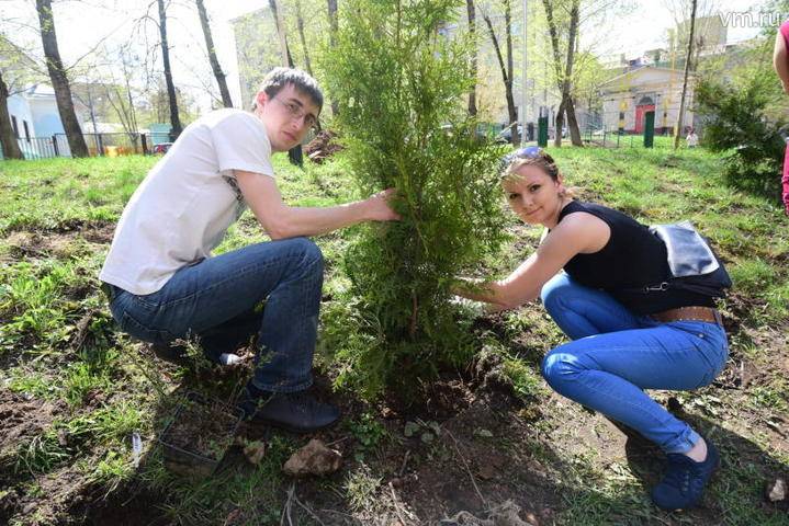 Москвичи подали более двух тысяч заявок в рамках проекта «Наше дерево» - vm.ru - Москва
