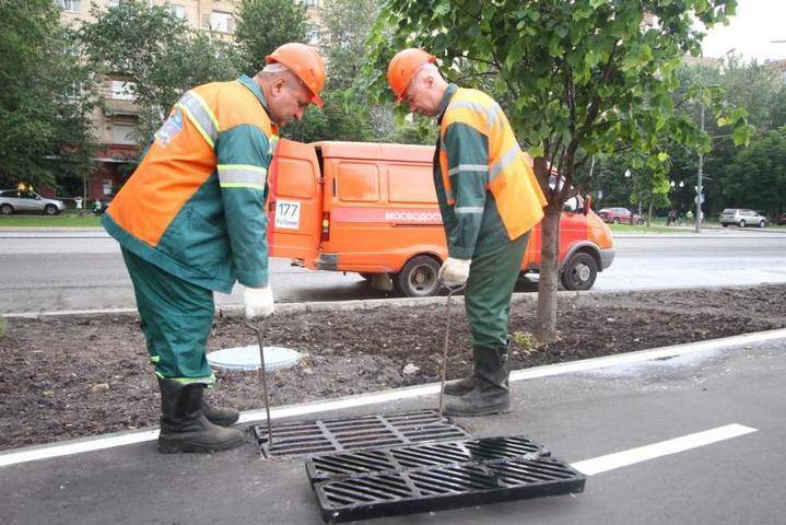 Спасатели вытащили собаку из люка в столичной промзоне - vm.ru - Москва