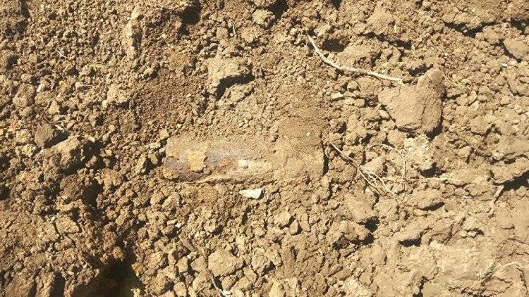 "Подарок" войны: в Ленинском районе сельчанин во дворе нашел авиабомбу - crimea.ria.ru - Россия - Крым - Симферополь - район Ленинский