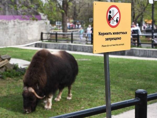 СМИ узнали о несоответствии половины зоопарков России новому ГОСТу - polit.ru - Россия