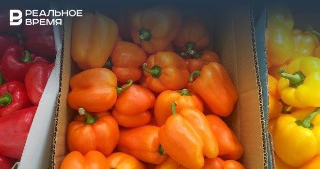 В России начнут действовать новые правила провоза фруктов и овощей через границу - realnoevremya.ru - Россия - Молдавия