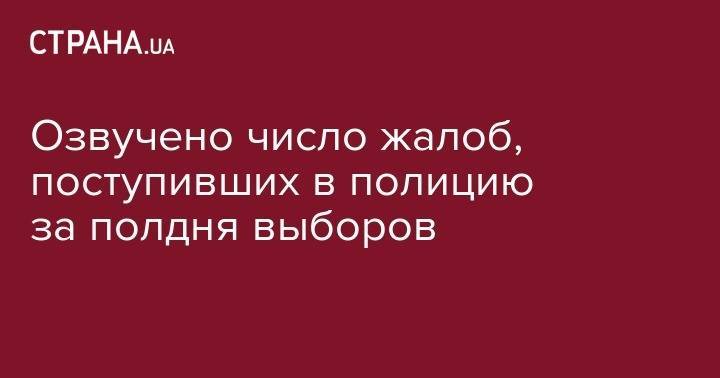 Озвучено число жалоб, поступивших в полицию за полдня выборов - strana.ua - Украина - обл. Донецкая - Запорожская обл. - Днепропетровская обл.