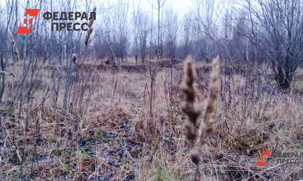 Елен Майоров - Процедуру получения охотничьего билета ужесточат | Москва | ФедералПресс - fedpress.ru - Москва - Россия - Москва