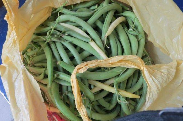 Антонина Стародубова - Эксперты назвали продукт, который помогает бороться со стрессом - aif.ru - Москва