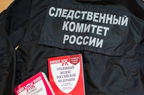 Андрей Клишас - Следственный комитет получит возможность проводить судебные экспертизы - pnp.ru - Россия