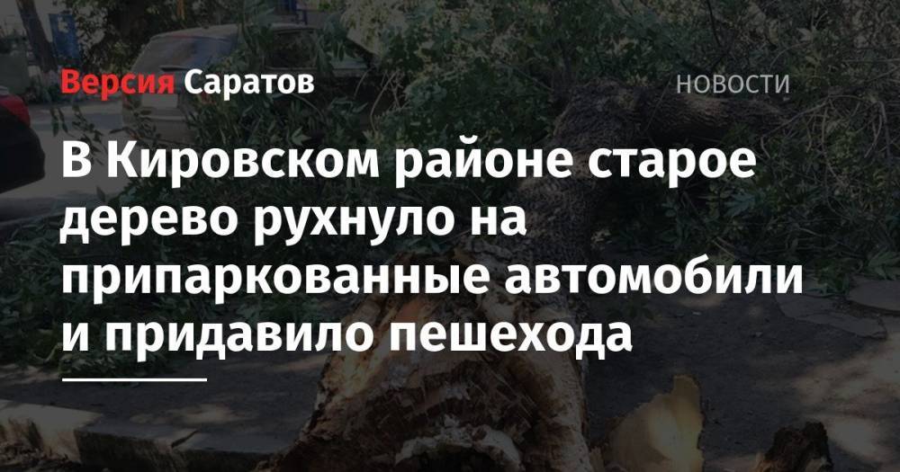 В Кировском районе старое дерево рухнуло на припаркованные автомобили и придавило пешехода - nversia.ru - Саратов
