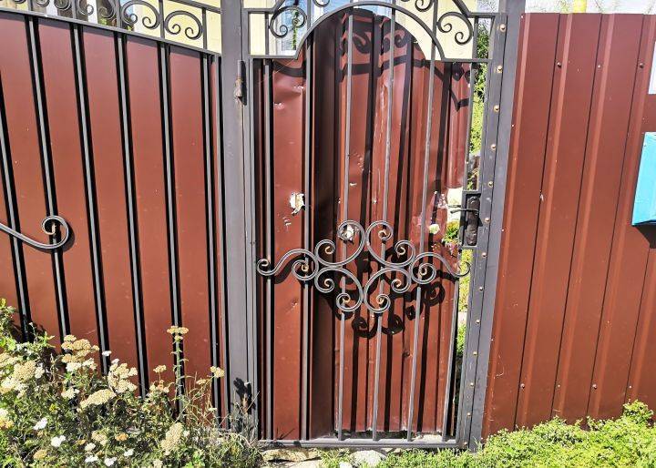 Сбежавший с оружием воронежец устроил стрельбу из-за собаки - Новости Воронежа - moe-online.ru - Воронеж