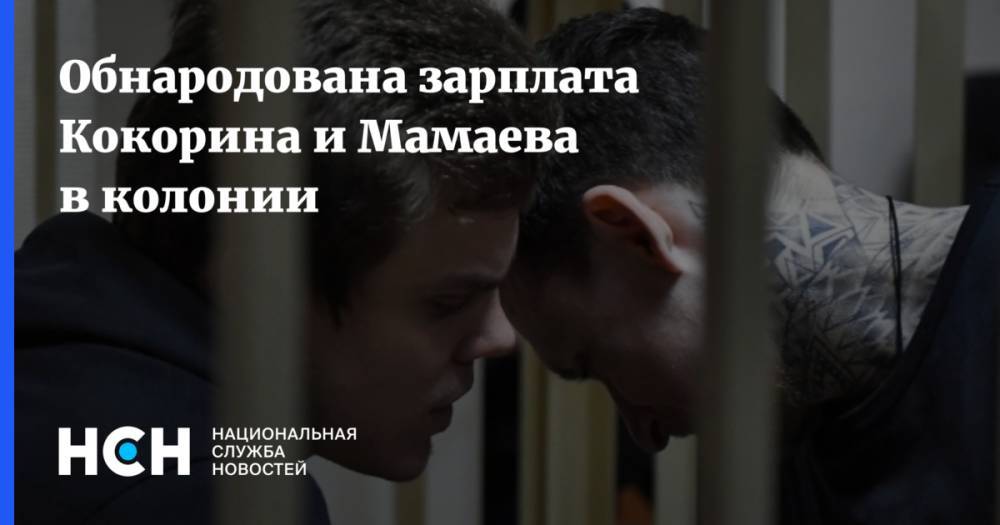 Павел Мамаев - Александр Кокорин - Обнародована зарплата Кокорина и Мамаева в колонии - nsn.fm - Москва - Белгородская обл.