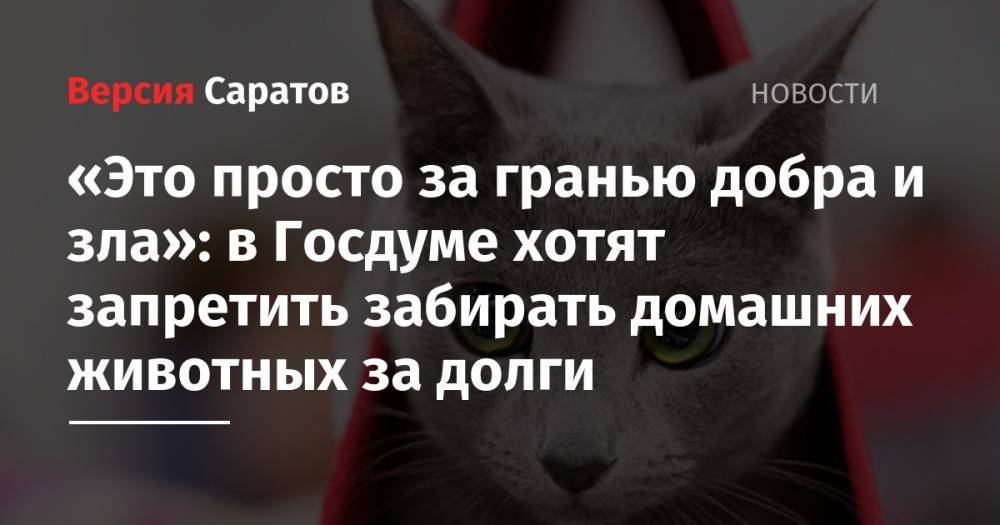 Владимир Бурматов - «Это просто за гранью добра и зла»: в Госдуме хотят запретить забирать домашних животных за долги - nversia.ru - Россия