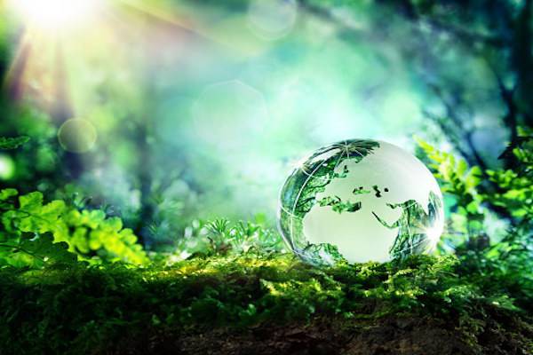 Как мы ежедневно вредим окружающей среде - ecosever.ru - США - Каир