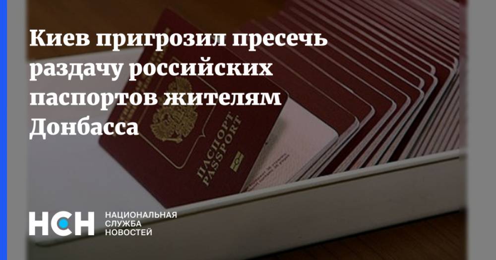 Владимир Путин - Александр Данилюк - Киев пригрозил пресечь раздачу российских паспортов жителям Донбасса - nsn.fm - Россия - Украина - Киев - ДНР - ЛНР - Донбасс