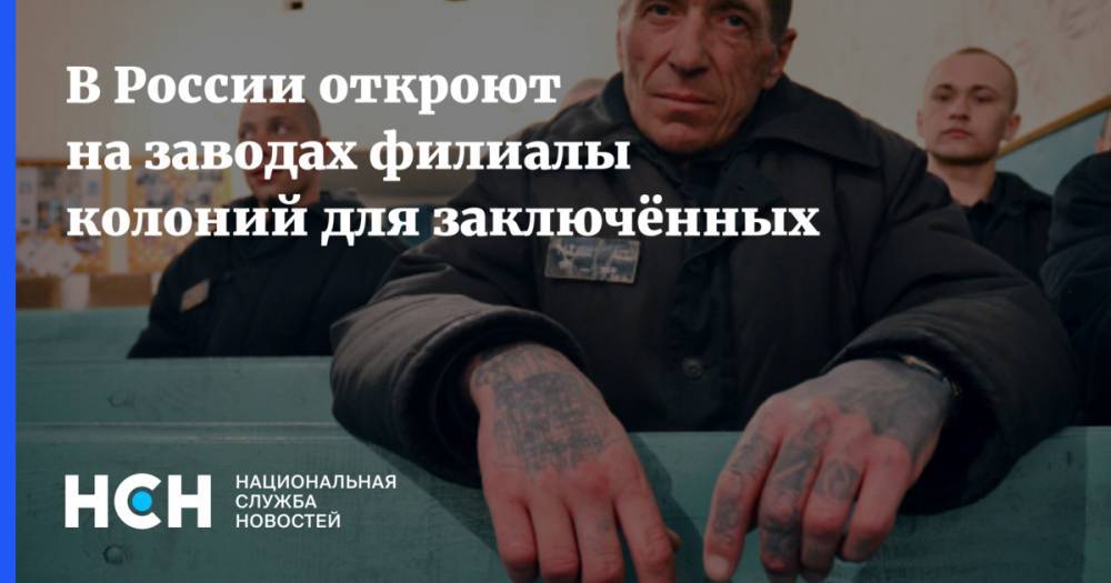 Владимир Груздев - В России откроют на заводах филиалы колоний для заключённых - nsn.fm - Россия