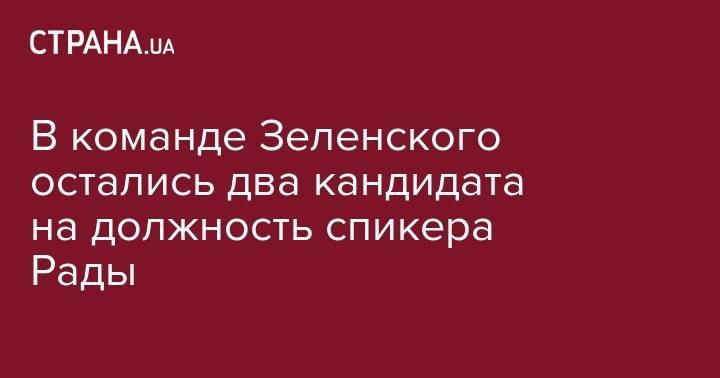 Дмитрий Разумков - Руслан Стефанчук - В команде Зеленского остались два кандидата на должность спикера Рады - strana.ua