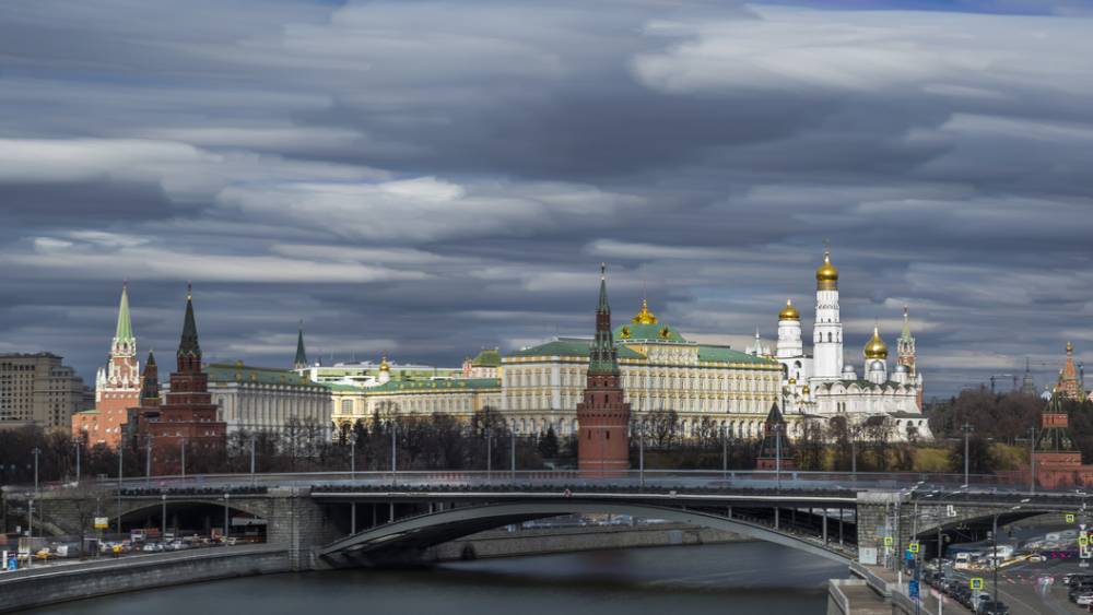 "Грибной бум" в Москве и Подмосковье обернулся рекордом по потерям. Но синоптики советуют идти в леса - tsargrad.tv - Москва - Россия - Московская обл. - район Рузский