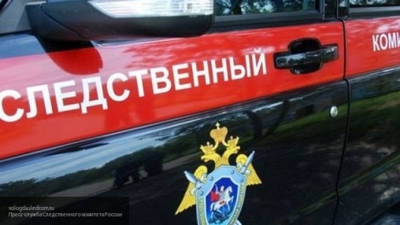 Кристина Амелина - Житель Кубани посадил своего 10-летнего сына на цепь - nation-news.ru - Брянск - Подольск