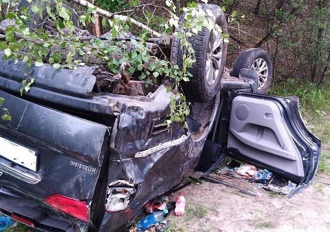 В Касимовском районе Mitsubishi опрокинулся в кювет - ya62.ru - Россия - Нижегородская обл. - Нижний Новгород - Рязанская обл. - район Касимовский