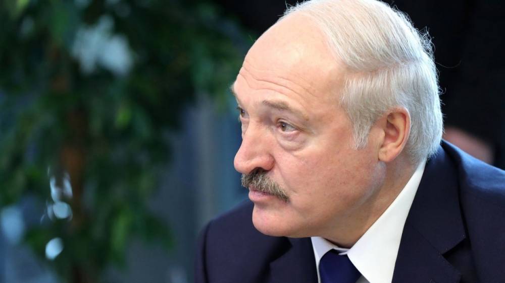Виктор Медведчук - Александр Лукашенко - Лукашенко назвал Украину «головной болью» и «общей бедой» Европы - riafan.ru - Россия - Украина - Белоруссия - Минск